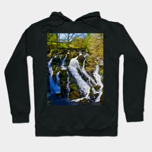 SWALLOW BEFORE YOU CANOE THE FALLS Hoodie